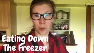 How to Use Up Your Freezer Stash Without Waste {Large Family Logistics}