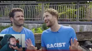 When Wokes and Rac**t Actually Agree on Everything