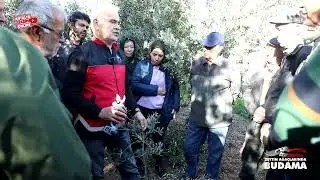 ZEYTİN BUDAMA I Antalya Tarım İl M&uuml;d&uuml;rl&uuml;ğ&uuml;