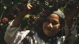 Exploring the Magic of Coffee in Chiapas: A Cinematic Odyssey of Stories in Every Cup CINEMATIC FILM