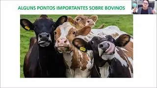 Discuss&otilde;es recentes e novos sistemas de produ&ccedil;&atilde;o cinsiderando bem-estar animal no Brasil
