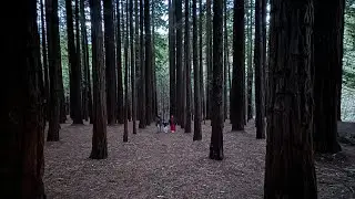 Melbourne Trip to Warburton #exploringaustralia #exploremelbourne #friends #food #travelvlog