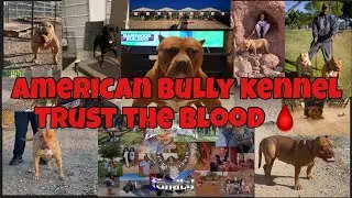 Trust the blood Camelot bloodline chevy bloodline Peterson bloodline red lion bloodline #zulunation