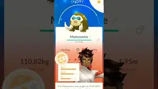 Pokemon go i got 💯% IV shiny Mamoswine