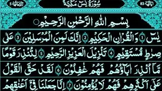 Surah Yaseen Surah Rahman | Viral Quran Recitation | Feel The Power of Allah&rsquo;s Words 🕋 Ep-00264