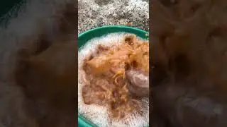 WADIDAU‼️From Muddy to Clean #shorts #toys  #asmrcleaning #viral