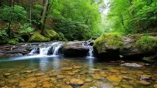 Peaceful Forest Stream Sounds with Gentle Waterfall | Deep Sleep & Relaxation