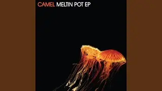 Meltin Pot
