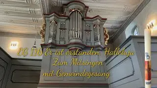 EG 116 Er ist erstanden, Halleluja |mit Gemeindegesang| |zum Mitsingen| (Ostersonntag)
