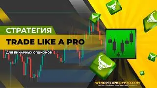 Trade Like a Pro стратегия для бинарных опционов