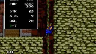 Cadash Arcade Speedrun - Ninja 27:56  1/3
