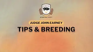 EKPA IF 2025: Tips & Breeding with Judge John Earney