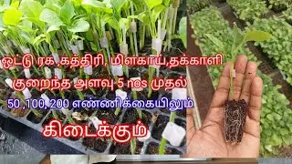 @deejayfarming8335 குறைந்த அளவு எண்ணிக்கையிலும் கிடைக்கும்