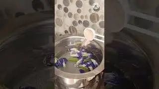 Aprajita Ka Sharbat / Blue Tea #magic #drink #bluemojito #ratna #daawat #easy #tasty #homemade #apra