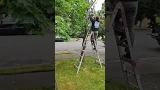 Travis showing off one of his chainsaws.