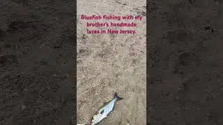 #Bluefish #fishing with my brother's #handmade_lures in #NewJersey.