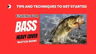 Master The Art of Bass Fishing: Tips, Techniques, And Gear!