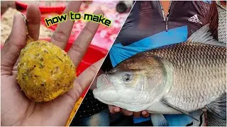 How To Make Catla Fishing Bait | Big Catla Fish Catching Video by Hook