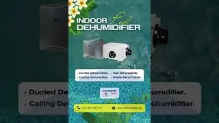 Dive into Comfort: Choose the Perfect Indoor Pool Dehumidifier!