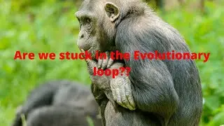 Are we in the cycle of evolutionary loop??