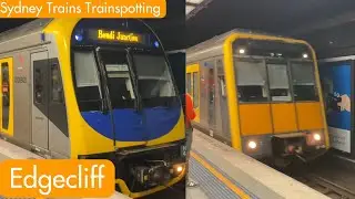 Sydney Trains Trainspotting - Edgecliff
