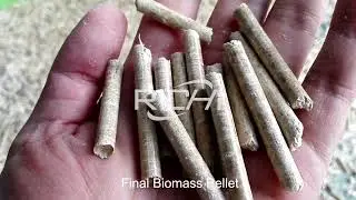 Wood Pellet Production: From Raw Material to Pellets