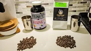 Battle of the Kenyan Coffees | Hinterhof vs FriedHats plus | Lelit Bianca V3 brew session