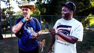 Paying Strangers In The Hood To Eat 2 Honey Buns!