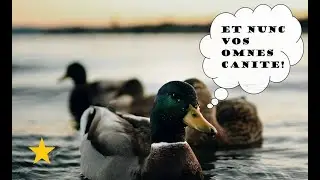 Auf Latein: ALLE MEINE ENTLEIN