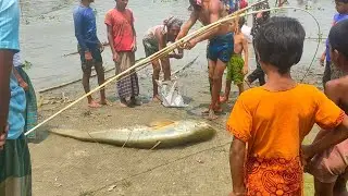 Amazing Best Net Fishing Trap Video | Big And Small Fish Are Hunted In The  Waters Of The River