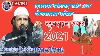 হজরত সালেহ আঃ এর বিস্ময়কর ঘটনা মাওলানা মনির উদ্দিন নতুন বাংলা ওয়াজ || Maulana Muneer Uddin