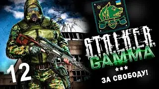 #12 Let's Play GAMMA - Freedom ☢️ Stalker Anomalies ☢️ Gamma Walkthrough #1440p60