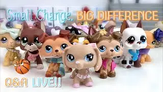 Answering SCBD Questions LIVE - Small Change, Big Difference Q&A Part 2