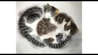 Cute furballs with watercolor - expressing cat fur with wet on wet watercolor technique