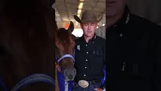 National Horse Blankets x Andrea Fappani
