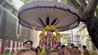Swathi Sri Narasimhan