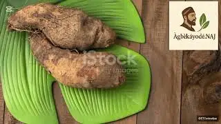 The Future of Organic Farming in Nigeria