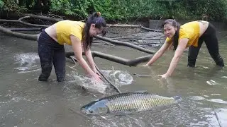Full Video: Harvesting Fish To Sell - Building Bamboo House For Chicken, Buy Chickens to Raise