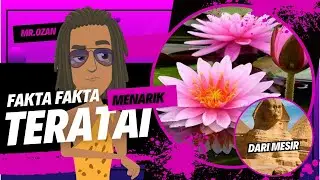 Fakta-fakta Bunga Teratai