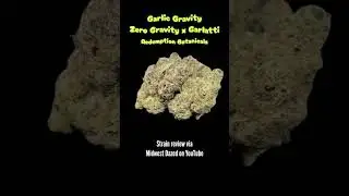 Garlic Gravity by Redemption Botanicals