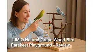 🕊️ LIMIO Natural Grape Wood Bird Parakeet Playground - Perch Stand for Parakeets, Small Birds Review