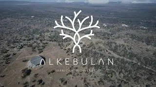 Alkebulan - Africa's Digiverse