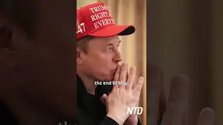 White House Disputes Report On Musk's Departure