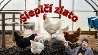 Slepič&iacute; kompost: PO 40 DNECH : Tajn&aacute; s&iacute;la př&iacute;rodn&iacute;ho hnojiva! 🐔💩🌱 nejrychlej&scaron;&iacute; cesta k super &uacute;rodě!