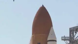 STS-114 bird hits space shuttle