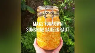 Make Your Own Sunshine Sauerkraut