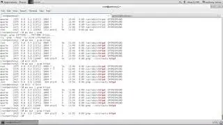 19  Adjust Process Priority and Kill Processes   Part 2