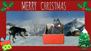 Santa Claus Cat - Christmas Cat Tales (Russian Blue and Pincher)
