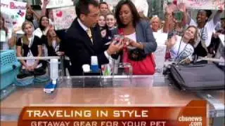 Best Pet Travel Gear
