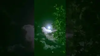 #beautiful #nature #on #earth #moon #light #sky #night #views #indian #bollywood #music #song